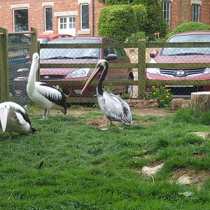 Private Collection owned by Christopher Marler