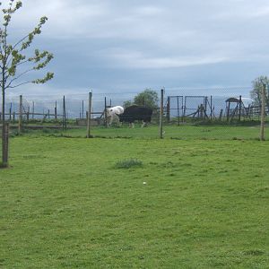 Private Collection owned by Christopher Marler