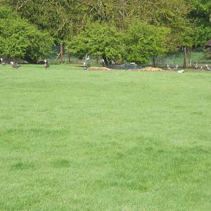 Private Collection owned by Christopher Marler