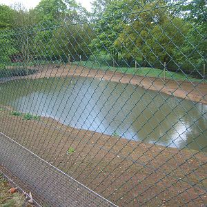 Private Collection owned by Christopher Marler