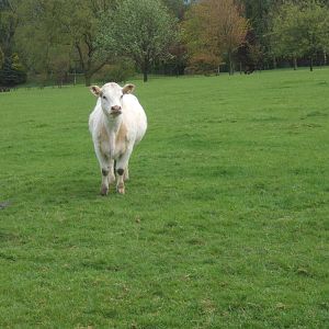 Private Collection owned by Christopher Marler