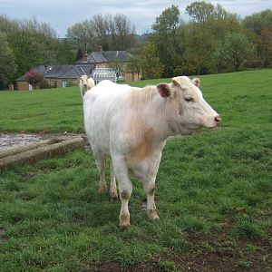 Private Collection owned by Christopher Marler