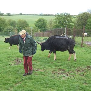 Private Collection owned by Christopher Marler