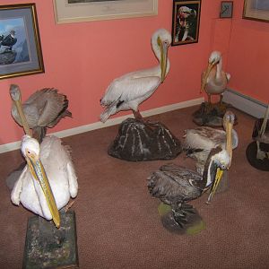 Private Collection owned by Christopher Marler