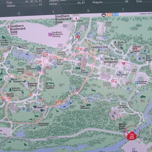 Bronx Zoo Map