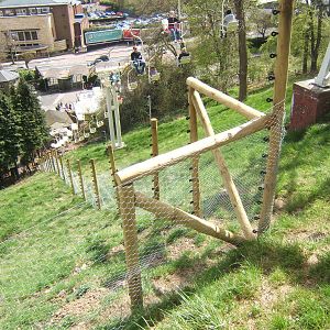 View of new Gelada exhibit under construction