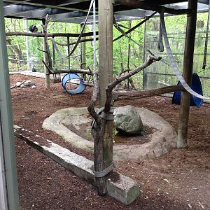 Part of the Lion Tailed Macaque Exhibit