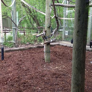 Part of the Lion Tailed Macaque Exhibit