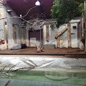 Indoor Tapir/Babirusa Exhibit