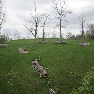 Sable Antelope Exhibit