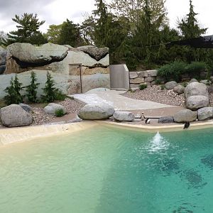 African Penguin Exhibit