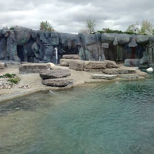 Main Polar Bear Exhibit