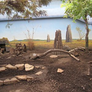 Marsupial/Monotreme Exhibit