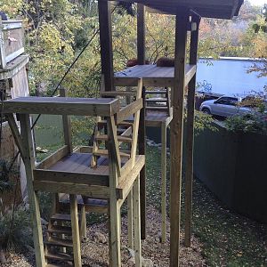 New Red Panda Climbing Apparatus