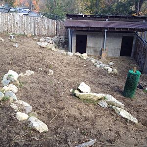 Sichuan Takin Exhibit