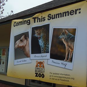 Coming This Summer at the Zoo