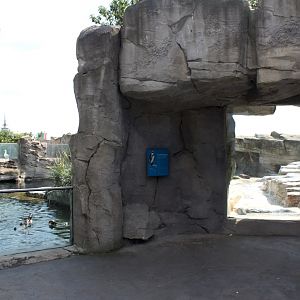 Zoo am Meer - Penguin exhibit