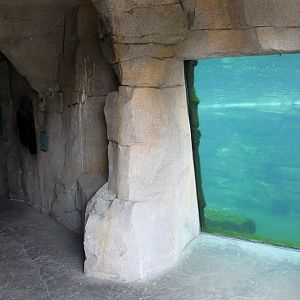 Zoo am Meer - Penguin exhibit