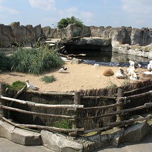 Zoo am Meer - Sea bird exhibit
