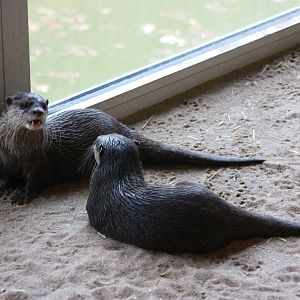 Parken Zoo Spring 201