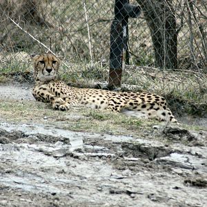 Parken Zoo Spring 2013