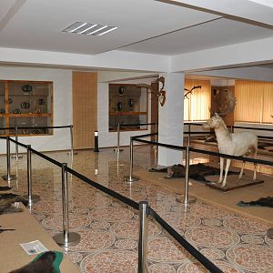 Ceausescu trophies Museum