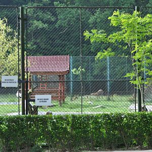 Western roe deer enclosure