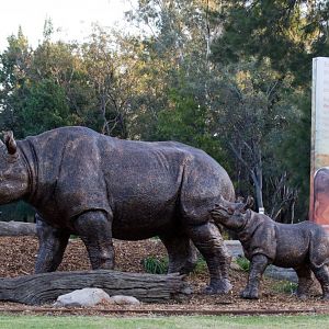 Display at the Entrance