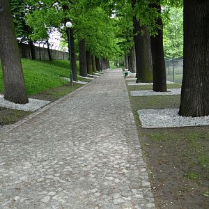 One of lanes in the zoo after the repair