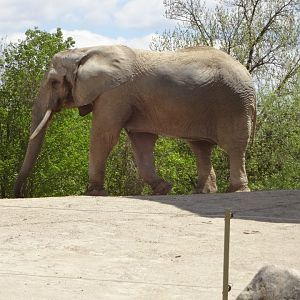 Monday May 13th, 2013-One of Our Girls