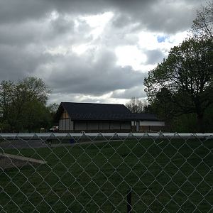 Monday May 13th, 2013-Buildings in the Panda Plaza