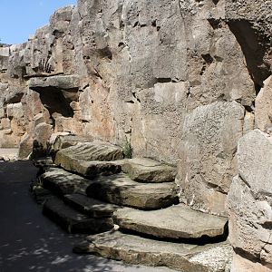 Zoo am Meer - Puma exhibit