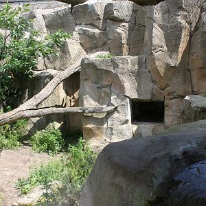 Zoo am Meer - Puma exhibit