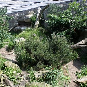 Zoo am Meer - Puma exhibit