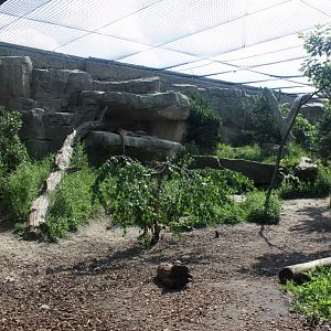 Zoo am Meer - Puma exhibit