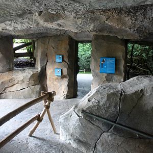 Zoo am Meer - Puma Cave