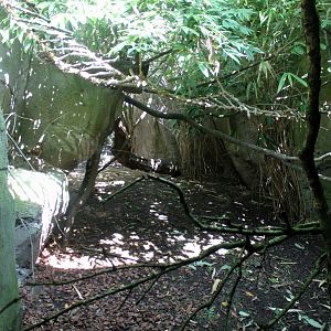 Zoo am Meer - Marmoset exhibit