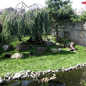 Zoo am Meer - Arctic hare exhibit