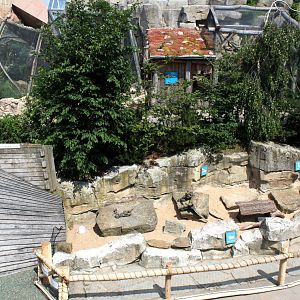 Zoo am Meer - Petting zoo and aviaries