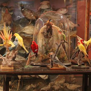 Private Collection owned by Christopher Marler