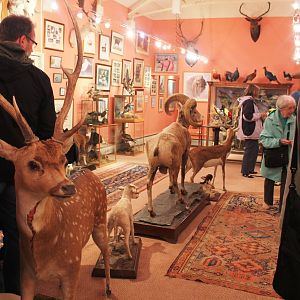 Private Collection owned by Christopher Marler