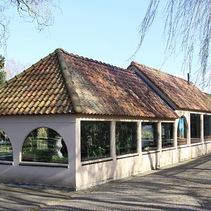 Pavilion with Hummingbirds