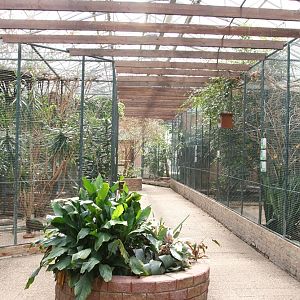 Inside the Tropical House
