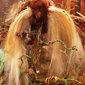 Private Collection owned by Christopher Marler