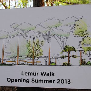 Lemur Walk Section