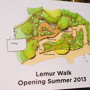 Lemur Walk Plan