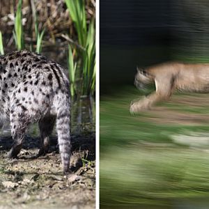 april photo workshop