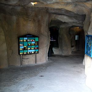 Zoo am Meer - Underwater viewing cave