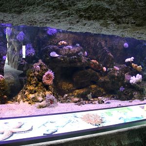 Zoo am Meer - North Sea aquarium