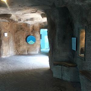 Zoo am Meer - Underwater viewing cave